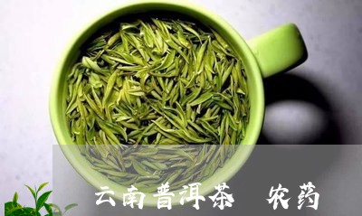 云南普洱茶 农药/2023041093947